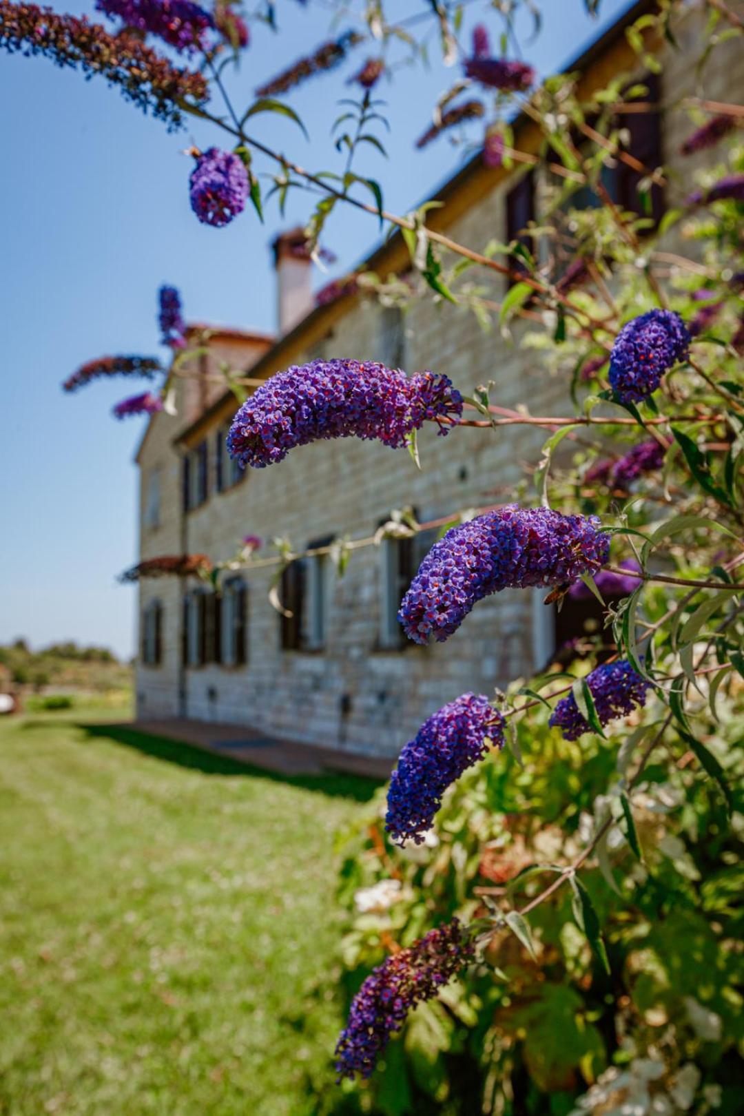 Alle Pendici Del Conero Sirolo Bagian luar foto